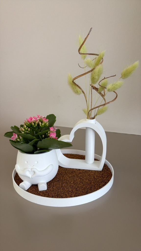 3D-geprinte plantenbak met gezicht en hartvormige vaas met droogbloemen